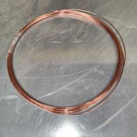 Filo Rame 99.9% 10 metri 2mm diametro
