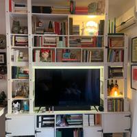 Mobile / Libreria unica e artigianale 220x265