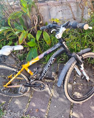 MTB 24 frera 