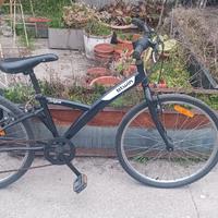 bicicletta da ragazzo/a