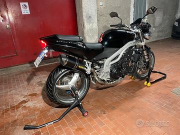 Triumph Speed Triple 955i