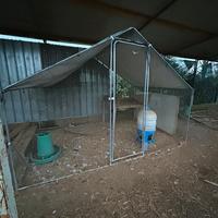 Recinto per animali 3x2 pollaio e voliera