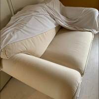 Divano 2 Posti In Tessuto Usato 587