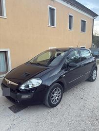 Punto Evo 2011