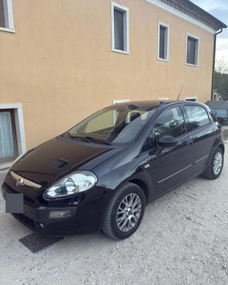 Punto Evo 2011
