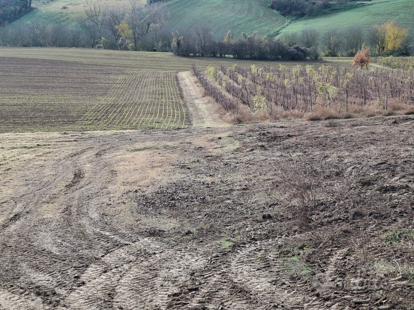 Terreno agricolo con edifici - Vista 3