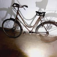 bicicletta donna a giunto cardanico