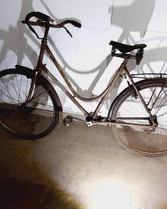 bicicletta donna a giunto cardanico