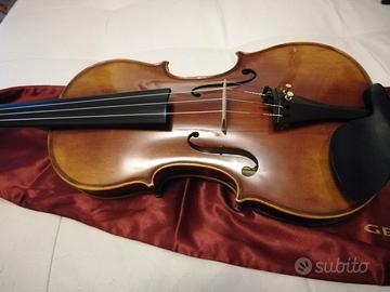 Violino