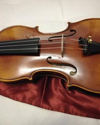 Violino