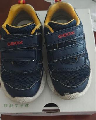 Scarpe Geox Respira Bimbo