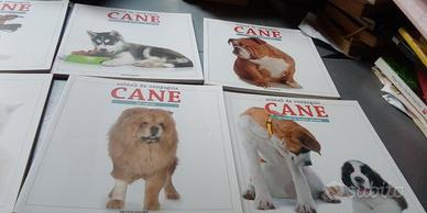 Animali da compagnia cane conoscere e scegliere 8