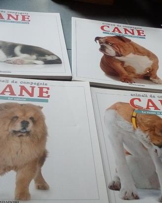 Animali da compagnia cane conoscere e scegliere 8
