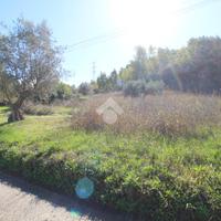 RUSTICO A MONTALTO UFFUGO