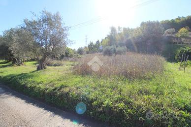 RUSTICO A MONTALTO UFFUGO