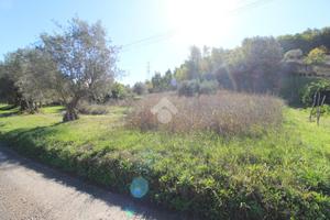 RUSTICO A MONTALTO UFFUGO