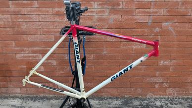 Telaio speederlite Giant