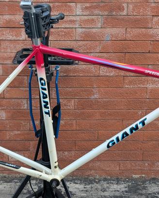 Telaio speederlite Giant