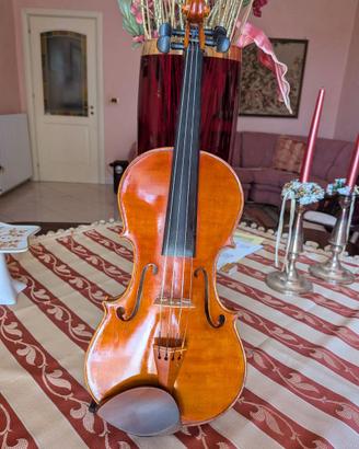 Violino