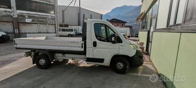 Furgonie con Casone fisso