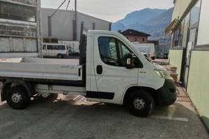 Furgonie con Casone fisso