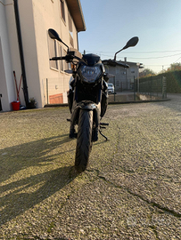 Benelli BN 125