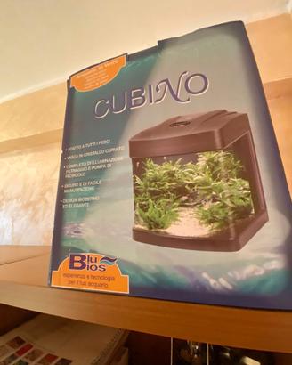 Acquario Cubino 26 lt