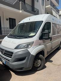 Fiat Ducato Passo corto Tenuto maniacalmente