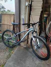 mountain bike 