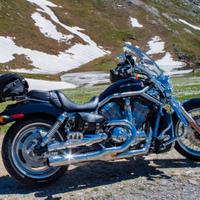 Harley davidson v rod