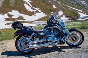 Harley davidson v rod
