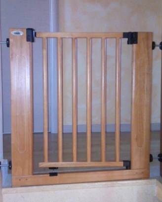 Cancelletto scale cam