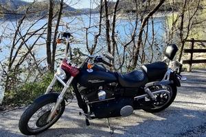 Harley davidson dyna