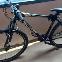 bici Denver