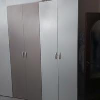 armadi ecc.ingresso 