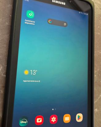Samsung Galaxy Tab Active 2 - 8" wifi + cellular