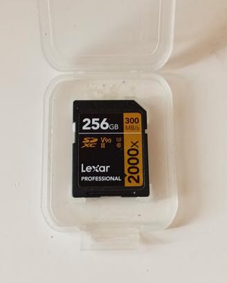 Scheda SD Lexar 256GB, 2000X, SDXC,  V90, U3