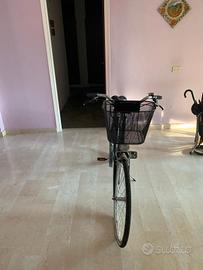 bicicletta olandesina