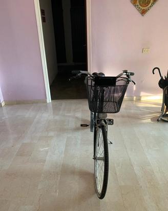 bicicletta olandesina