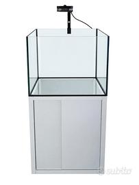 Acquario marino o dolce