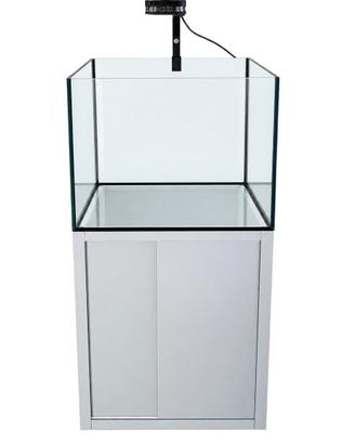 Acquario marino o dolce