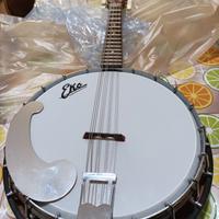 banjo eko  8 corde 