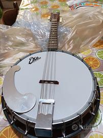 banjo eko  8 corde 