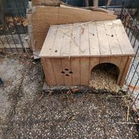 casetta x animali