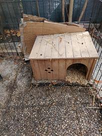 casetta x animali