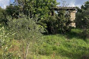 Rustico / Casale di 40 m² con 2 locali a Tuscania