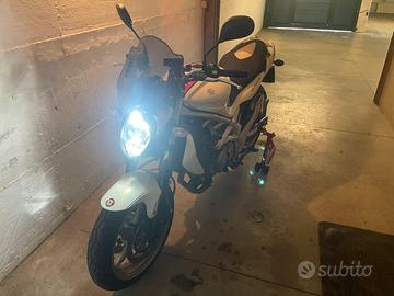 Suzuki gladius 650cc perfetta