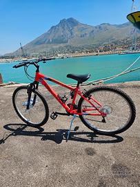 Bicicletta nuovissima poco utilizzata