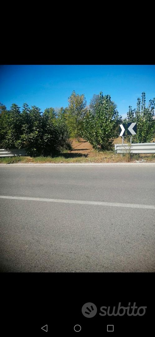 Terreno agricolo Marigliano - Vista 2
