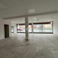 NEGOZIO A SISSA TRECASALI